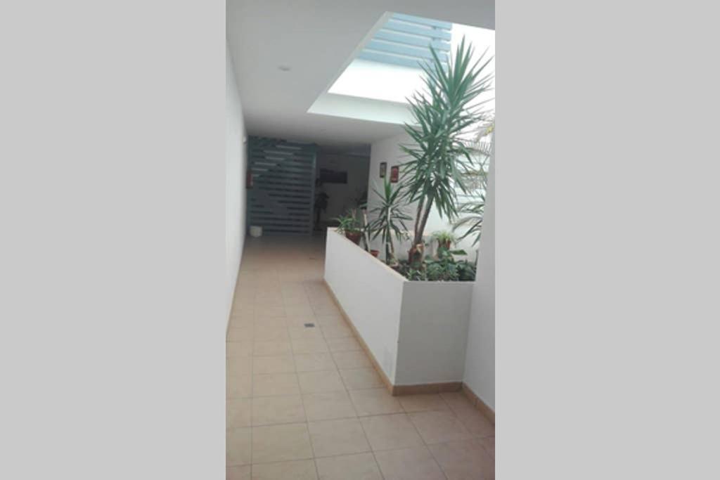 Atico La Estacion Apartamento Sanlúcar de Barrameda Exterior foto